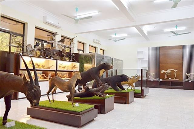 Launching ceremony of vietnam forest museum and scientific workshop “establishment and development of vietnam forest museum