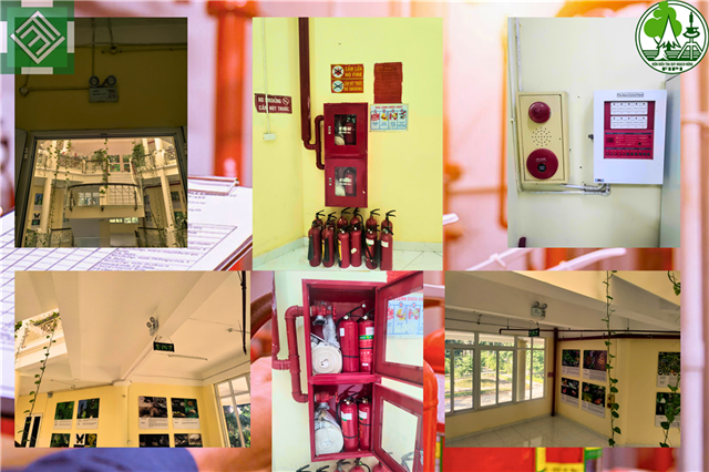 A steel shield protects the green treasure at the Vietnam Forest Resources Museum