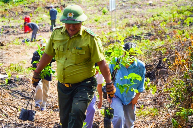 Sustainable Forest Transformation in Da Nang: A Journey from Awareness to Action