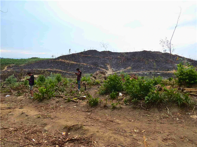 A Cry for Help from the Forest: Natures Warning