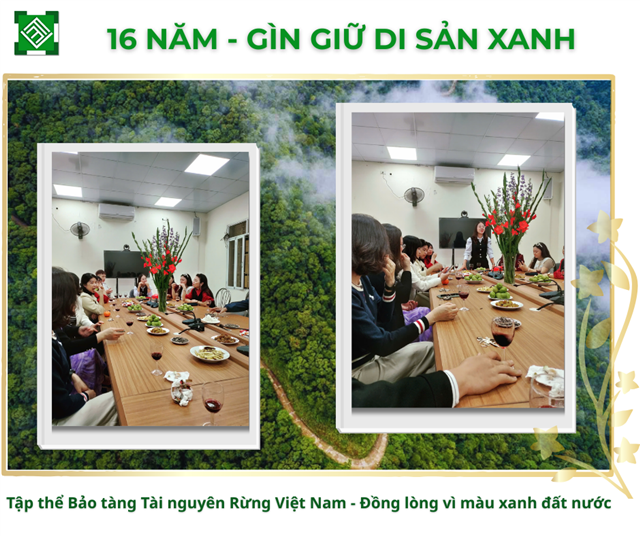 KỶ NIỆM 16 NĂM THÀNH LẬP BẢO TÀNG TÀI NGUYÊN RỪNG VIỆT NAM – HÀNH TRÌNH ĐỒNG LÒNG GÌN GIỮ DI SẢN XANH